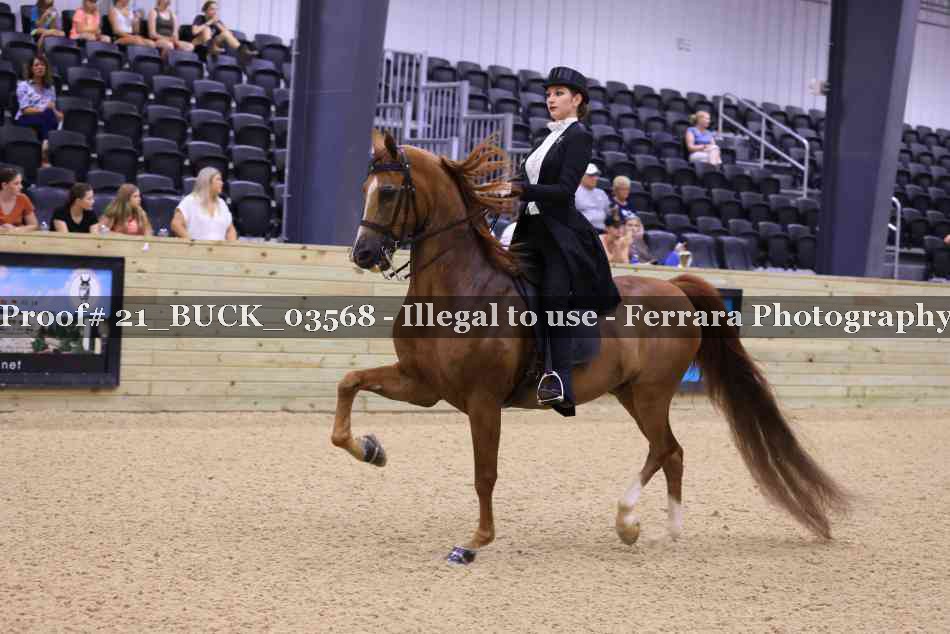 Proof 21_BUCK_03568