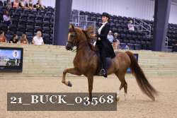 21_BUCK_03568 proof