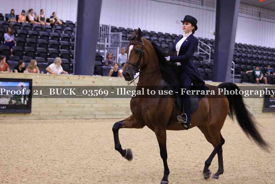 Proof 21_BUCK_03569