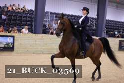 21_BUCK_03569 proof