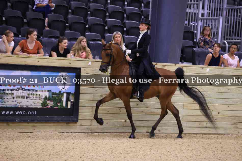 Proof 21_BUCK_03570
