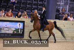 21_BUCK_03570 proof
