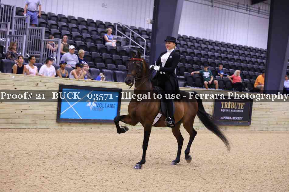 Proof 21_BUCK_03571