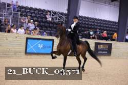 21_BUCK_03571 proof