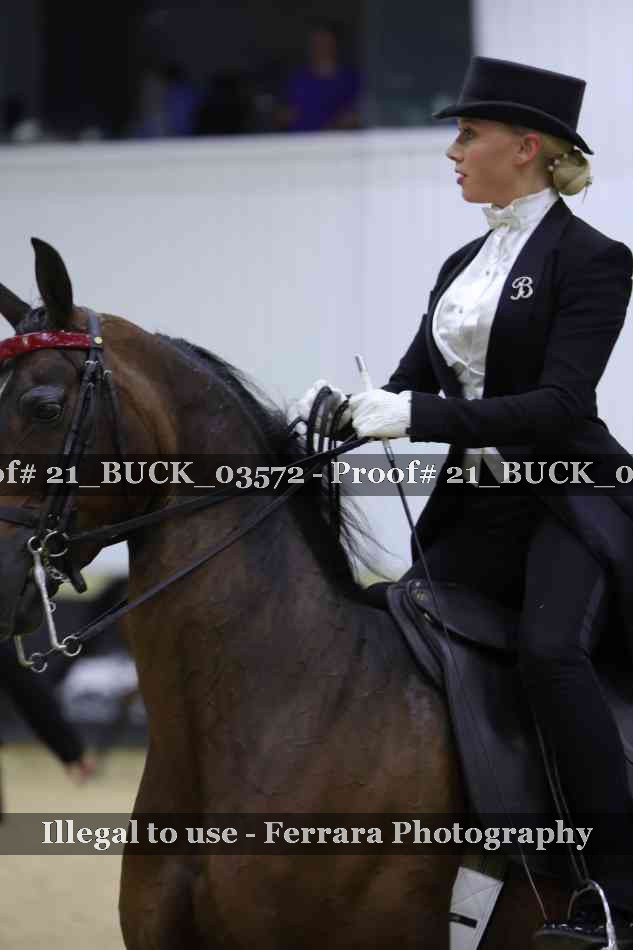 Proof 21_BUCK_03572