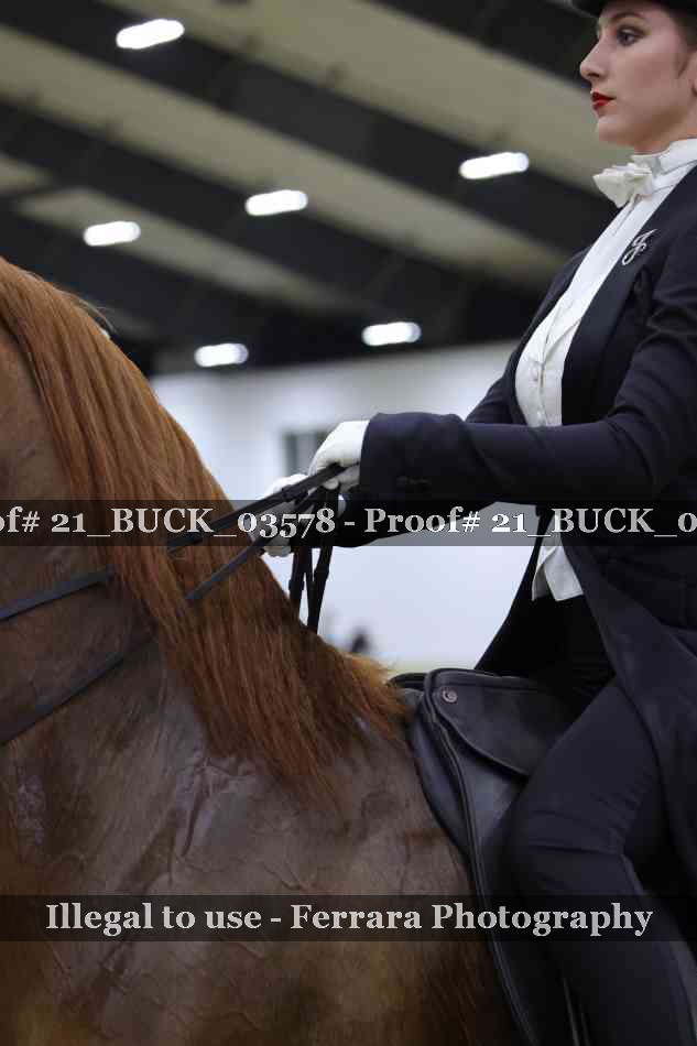 Proof 21_BUCK_03578