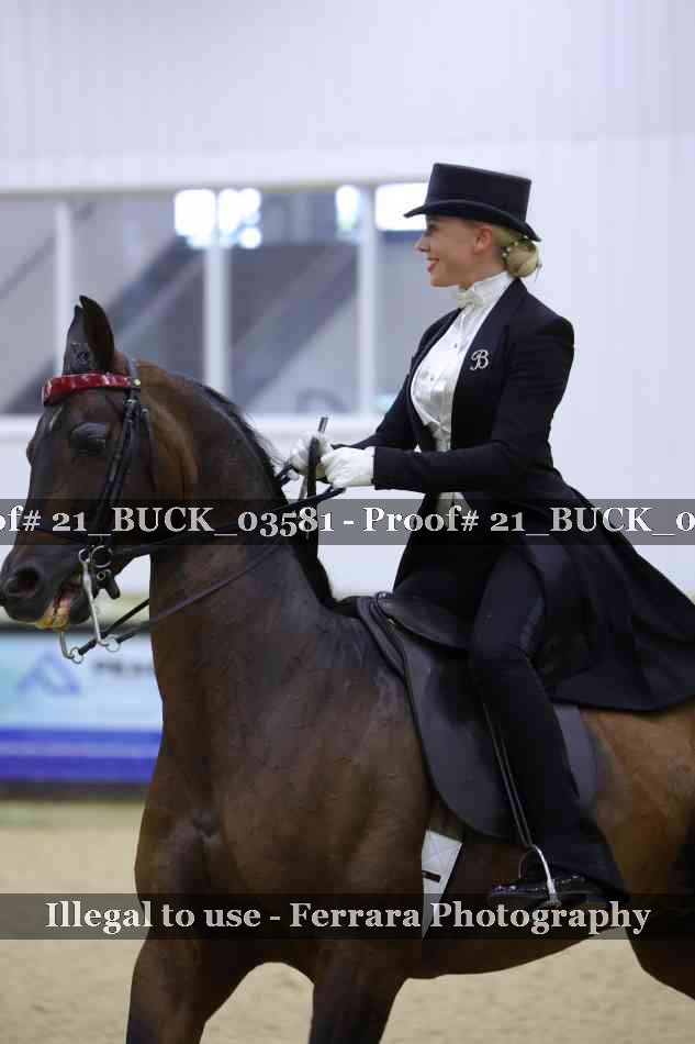 Proof 21_BUCK_03581