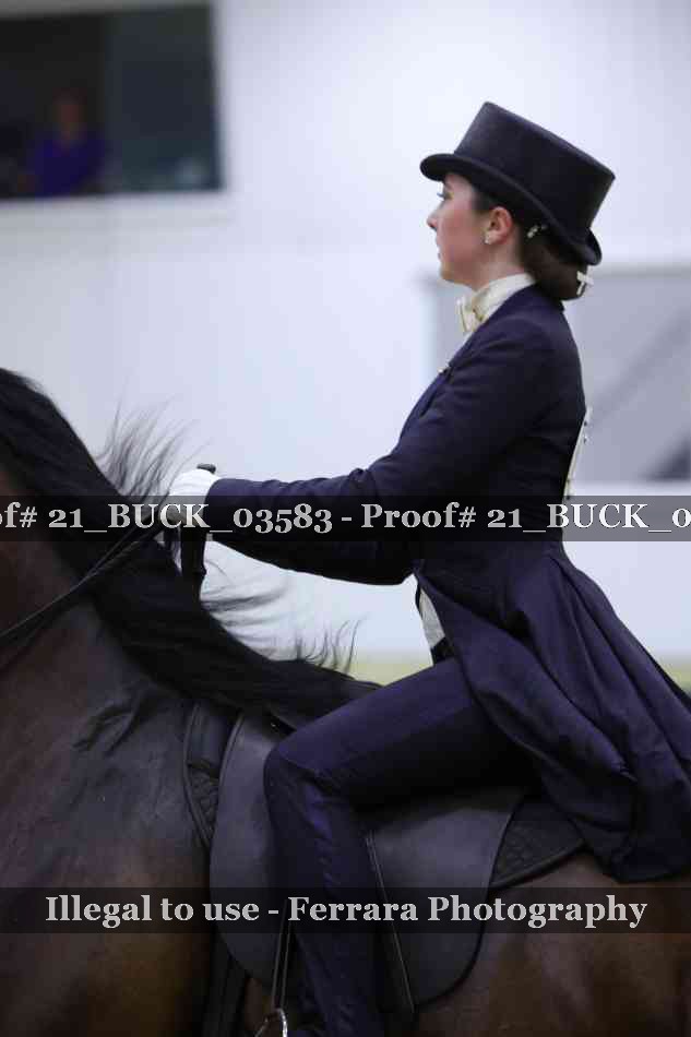 Proof 21_BUCK_03583