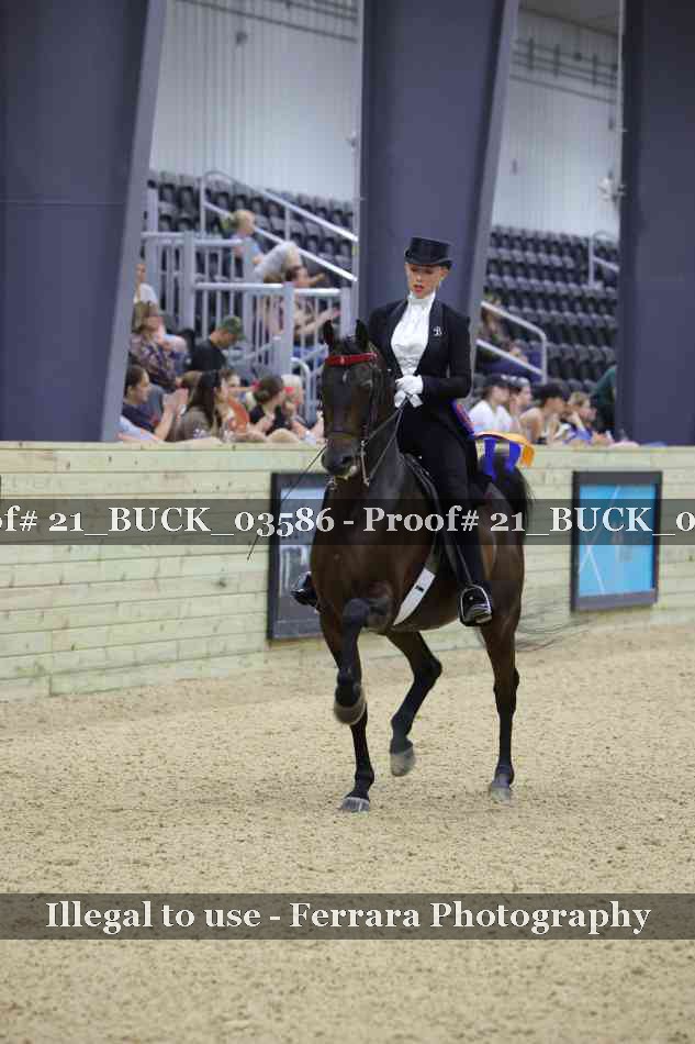 Proof 21_BUCK_03586