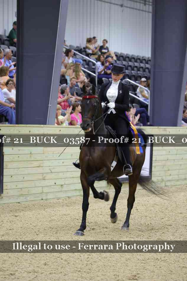 Proof 21_BUCK_03587