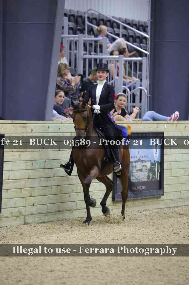 Proof 21_BUCK_03589