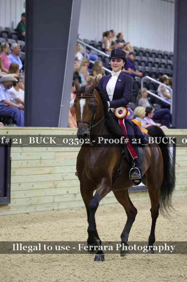 Proof 21_BUCK_03592