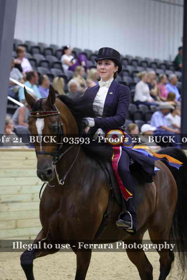 Proof 21_BUCK_03593