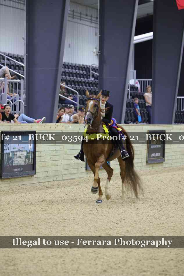 Proof 21_BUCK_03594