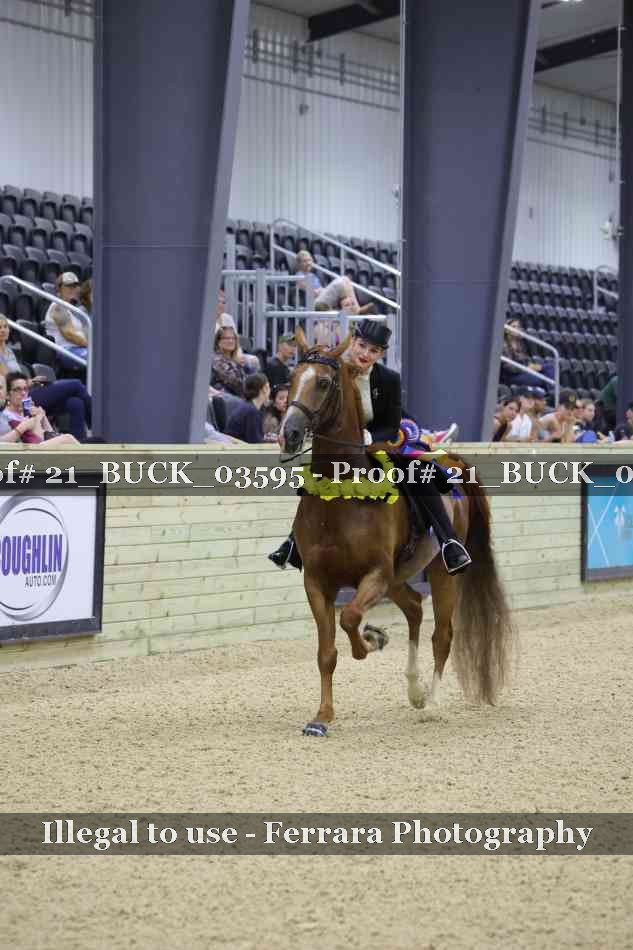 Proof 21_BUCK_03595