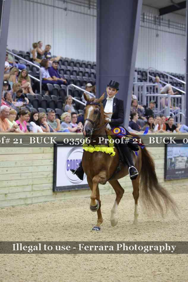 Proof 21_BUCK_03596