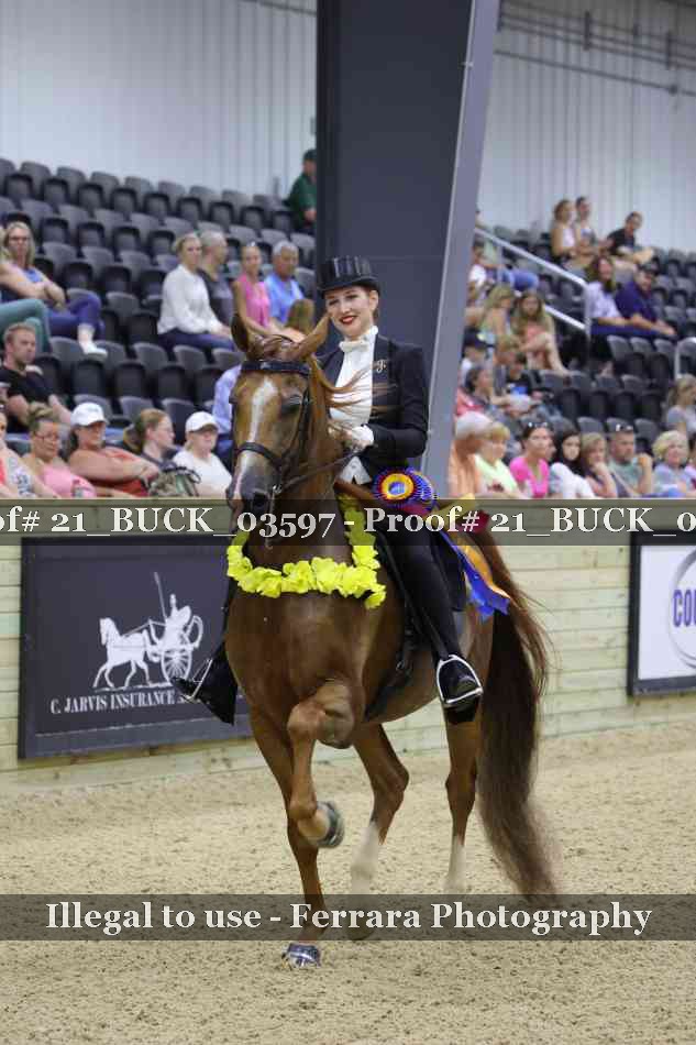 Proof 21_BUCK_03597