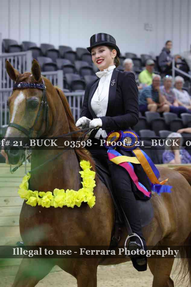 Proof 21_BUCK_03598