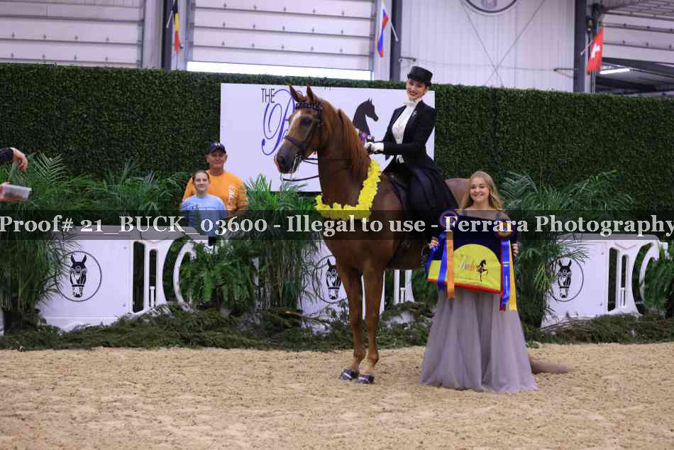 Proof 21_BUCK_03600