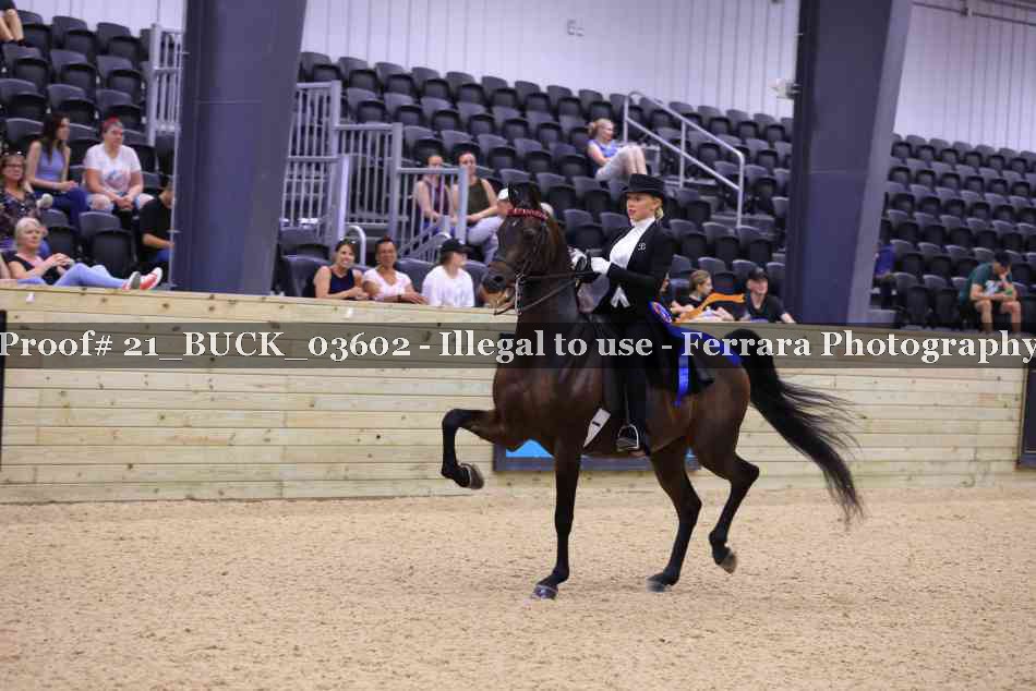 Proof 21_BUCK_03602