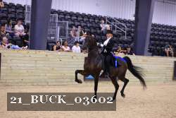 21_BUCK_03602 proof