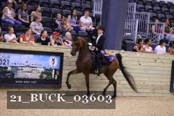 21_BUCK_03603 proof