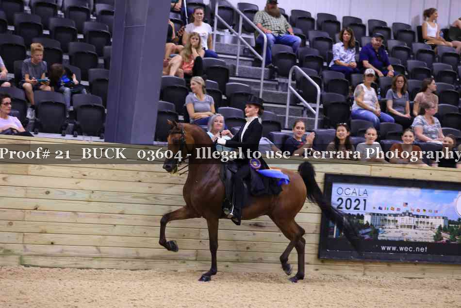 Proof 21_BUCK_03604