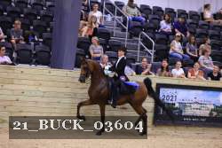 21_BUCK_03604 proof