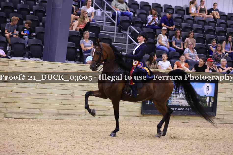Proof 21_BUCK_03605