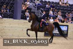 21_BUCK_03605 proof