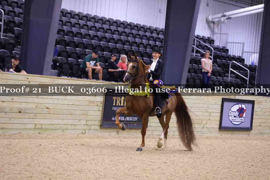 Proof 21_BUCK_03606