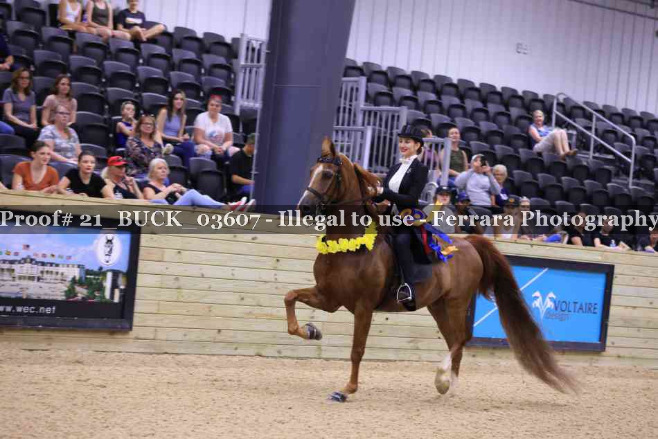 Proof 21_BUCK_03607