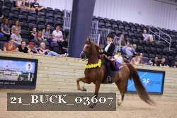 21_BUCK_03607 proof