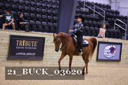 21_BUCK_03620 proof