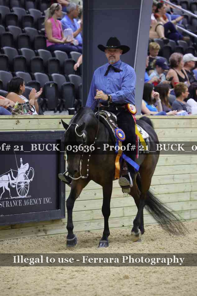 Proof 21_BUCK_03636