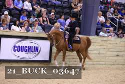 21_BUCK_03647 proof