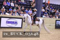 21_BUCK_03648 proof