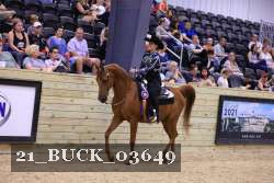 21_BUCK_03649 proof