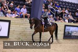 21_BUCK_03651 proof
