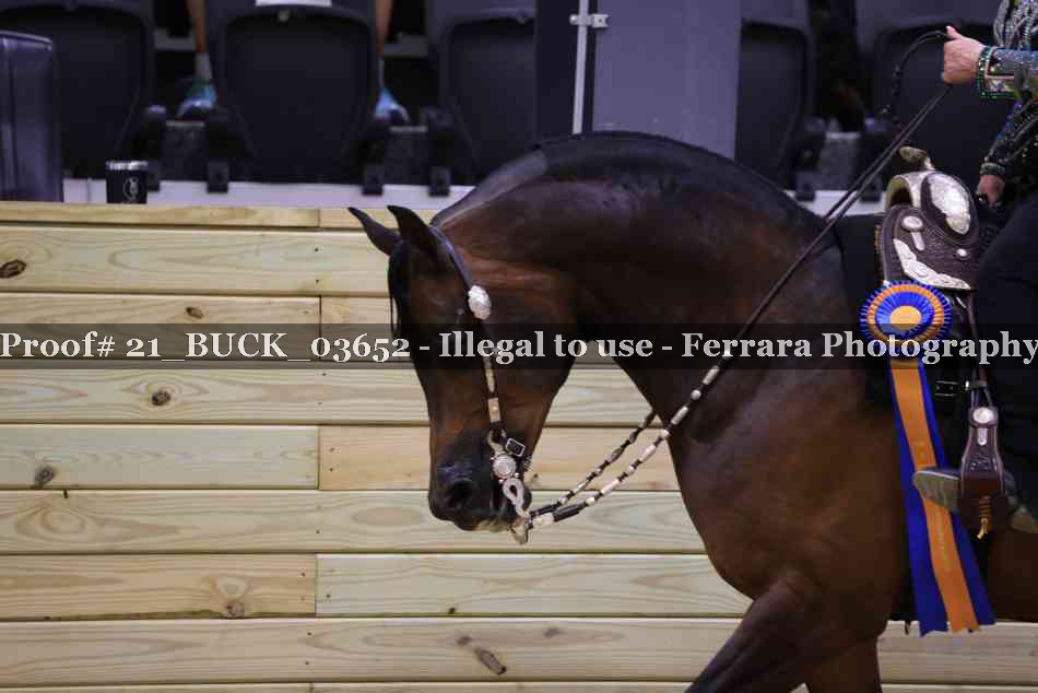 Proof 21_BUCK_03652