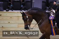 21_BUCK_03652 proof