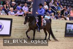 21_BUCK_03653 proof
