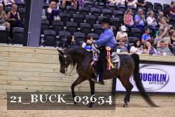 21_BUCK_03654 proof