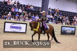 21_BUCK_03656 proof