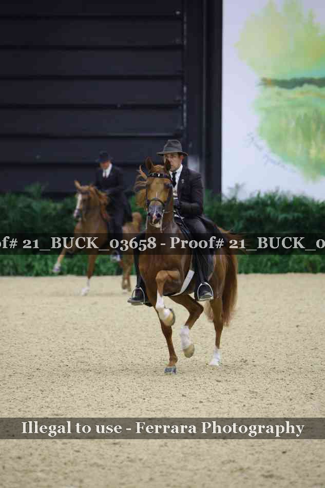 Proof 21_BUCK_03658