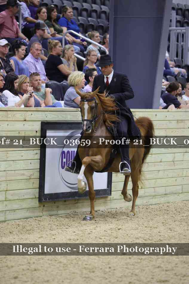 Proof 21_BUCK_03659