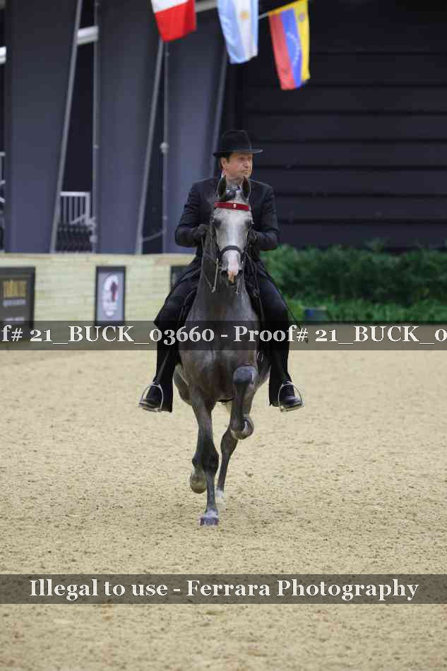 Proof 21_BUCK_03660