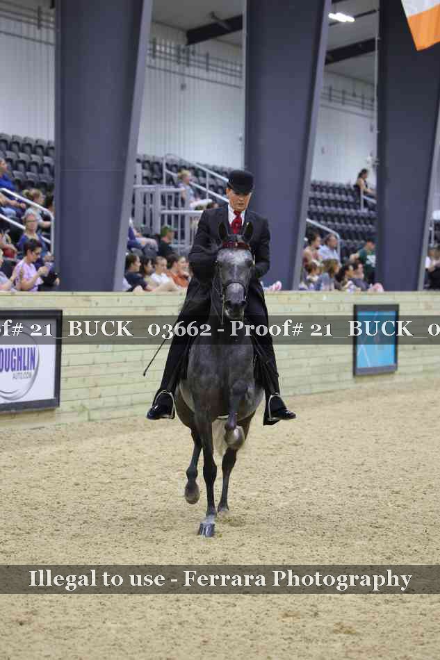 Proof 21_BUCK_03662