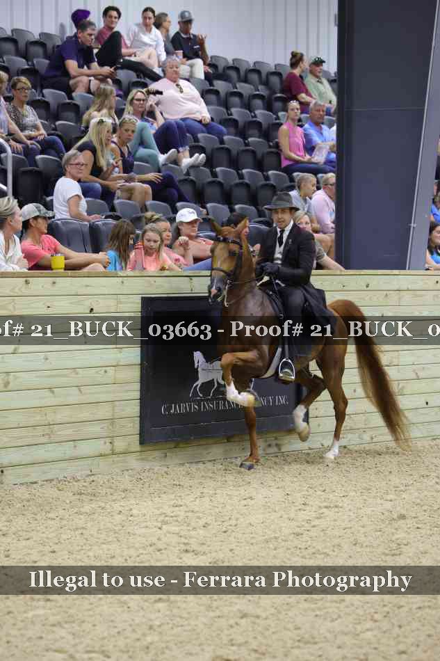 Proof 21_BUCK_03663