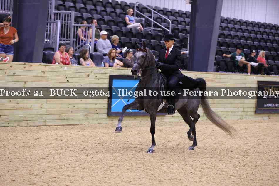 Proof 21_BUCK_03664